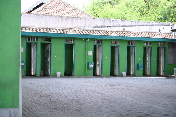 Best Affordable portable toilet rental  in Wildomar, CA